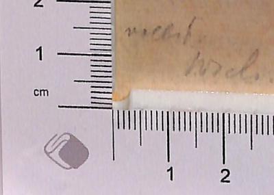 - (Weisstein, Gotthilf), Von Hand: Notiz; 'vollst. Wstn [?]'.  (Prototyp)