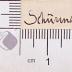 DLIT9173 : Spielmanns-Geschichten ([1910])