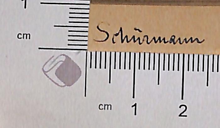 - (Schürmann, Dr. [?]), Von Hand: Autogramm; 'Schürmann'.  (Prototyp)
