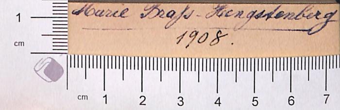 - (Brass-Hengstenberg, Marie), Von Hand: Autogramm; 'Marie Brass-Hengstenberg '.  (Prototyp)