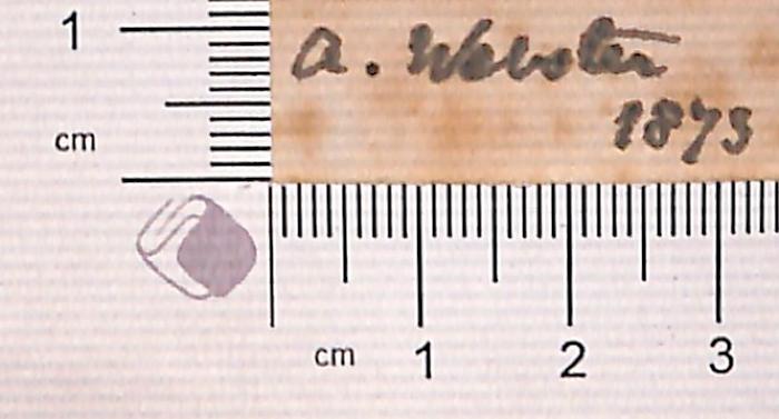 -, Von Hand: Autogramm; 'A. Webster [?] 1873' (Prototyp)