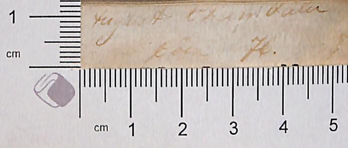 - ([?], August), Von Hand: Autogramm; 'August [ein unleserliches Wort]
Cöln 76'. 