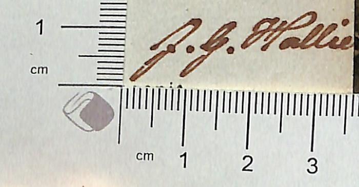 - (Hallie [?], J. G. ), Von Hand: Autogramm; 'J.G. Hallie [?]'.  (Prototyp)