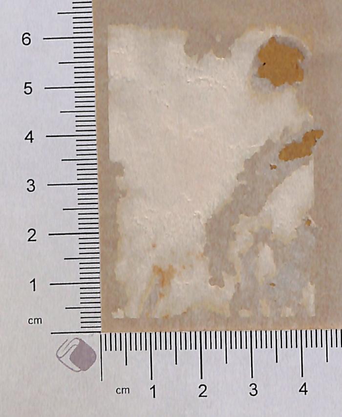 -, Tilgung: Exlibris (Prototyp)