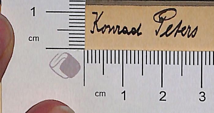 - (Peters, Konrad), Von Hand: Autogramm; 'Konrad Peters'.  (Prototyp)