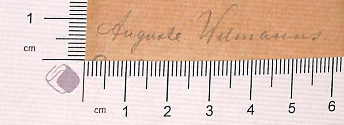 - (Wilmanns, Auguste [?]), Von Hand: Autogramm; 'Auguste [?] Wilmanns'.  (Prototyp)