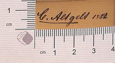 - (Altgeld, Carl ), Von Hand: Autogramm; 'C. Altgelt. 1852
Carl Altgelt. 1857
'.  (Prototyp)