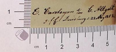 - (Altgeld, Carl ), Von Hand: Widmung; 'E. Castanjen [?] s/m C. Altgelt g.f.G. Duisburg 28. Aug. 1853'. 