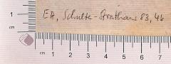 - (Nicolovius, Alfred), Von Hand: Notiz; 'EA, Schulte-Strathaus 83, 46'. 