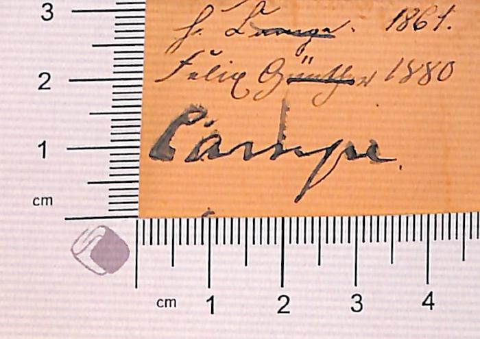 - (Lange, H. ), Von Hand: Autogramm; 'H. Lange - Lange'.  (Prototyp)