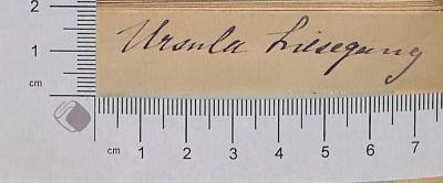 - (Liesegang, Ursula ), Von Hand: Autogramm; 'Ursula Liesegang'.  (Prototyp)