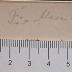DLIT10252 : Wie Hedwig Lachman starb ([1918])