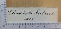 - (Gabriel, Elisabeth), Von Hand: Autogramm; 'Elisabeth Gabriel 1913.'. 