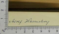 -, Von Hand: Autogramm; 'Adolf Hasenberg'