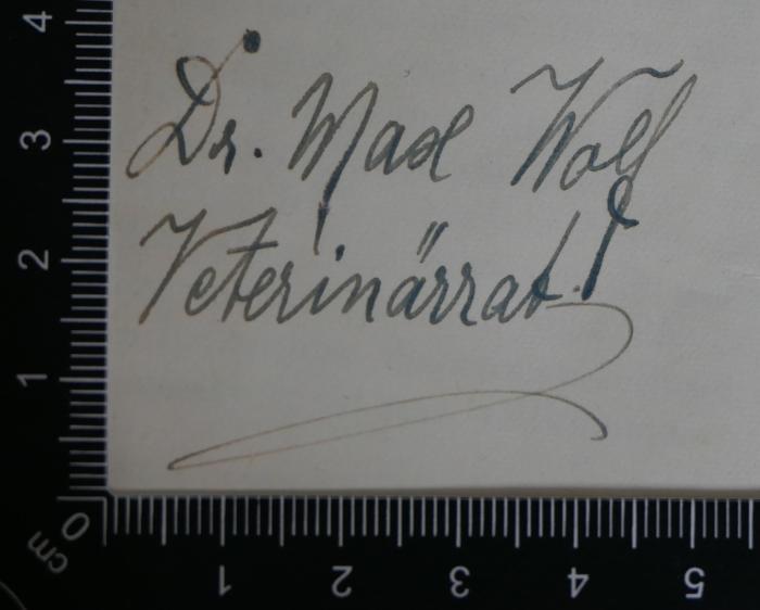 - (Wolf, Max Dr.), Von Hand: Autogramm; 'Dr. Max Wolf
Veterinärrat'. 