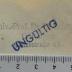 4508 : Entwicklungsgesetze des Kapitalismus : Ökonomische, geschichtstheoret. u. soziol. Studien zur modernen Wirtschaftsverfassg (1932)