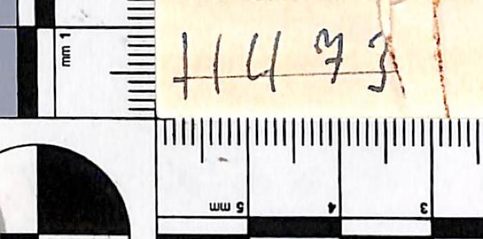 - (NSDAP-Gauarchiv Südhannover-Braunschweig), Von Hand: Nummer; '11473'. 