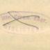 - (Polen. Ministerstwo Spraw Zagranicznych), Stempel: Name; 'Min. Spraw. Zagr. [BIBLIOTEKA]'. 