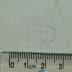 - (Buchhandlung Sattler[?]), Stempel: Buchhändler; '[…] [Buchhandlung?] [Sa]ttler[?] […] i.E.'. 