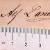 DLIT8670:6,24 : Ferdinand Freiligrath (1852)