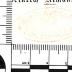 -, Stempel: Name, Ortsangabe; 'BÜRGERVEREIN / HOLZMINDEN'