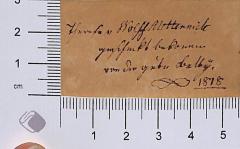 - (Wolff-Metternich), Von Hand: Notiz; '[ein unleserliches Wort] Wolff Metternich [sechs unleserliche Worte] 1818'. 