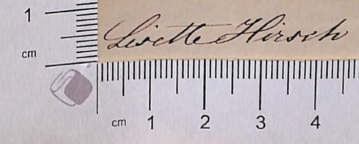 -, Von Hand: Autogramm; 'Lisette Hirsch' (Prototyp)