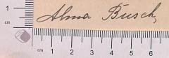 - (Busch, Alma), Von Hand: Autogramm; 'Alma Busch 
'.  (Prototyp)