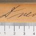 - (Dresen), Von Hand: Autogramm; 'Dresen'.  (Prototyp)