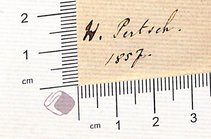 - (Pertsch, W. ), Von Hand: Autogramm; 'W. Pertsch 1857'.  (Prototyp)