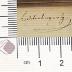 DLIT10325 : Musenalmanach (1830-1832)
