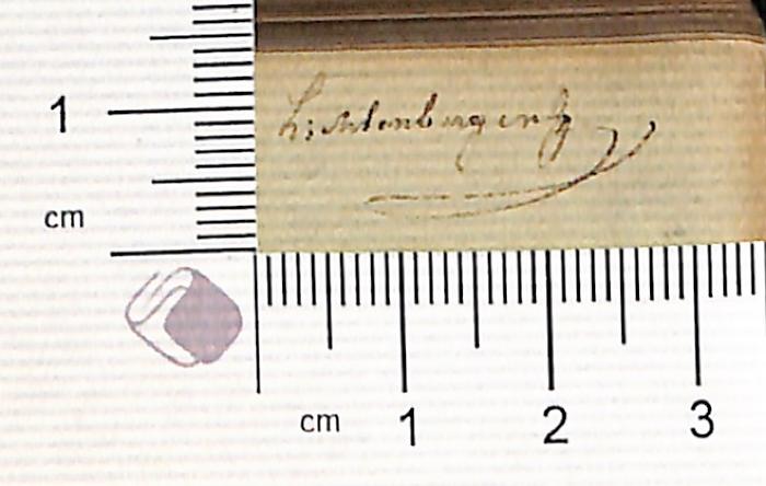 -,  'Lichtenbergen[…][?]' (Prototyp)