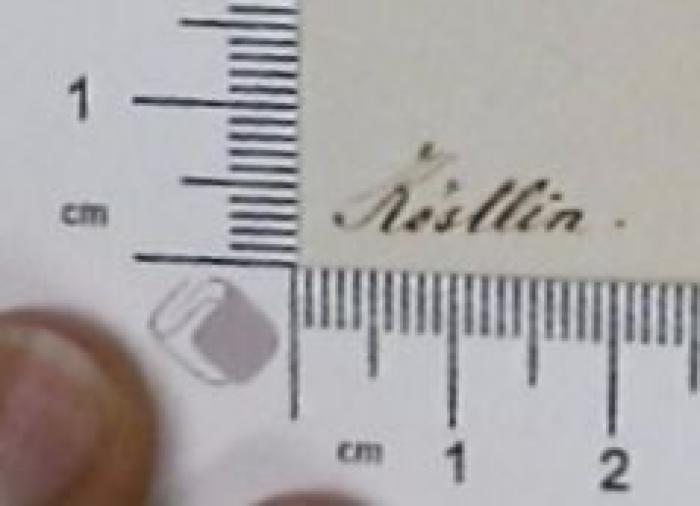 - (Köstlin, [?]), Von Hand: Autogramm; 'Köstlin'.  (Prototyp)