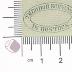 DLIT10325 : Musenalmanach (1830-1832)