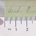 DLIT10325 : Deutscher Musenalmanach (1833-1841)