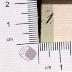 DLIT10325 : Deutscher Musenalmanach (1833-1841)