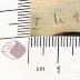 DLIT10325 : Deutscher Musenalmanach (1833-1841)