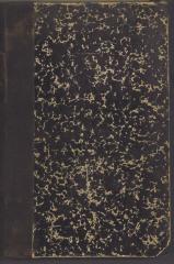 Dn 26735'10':F8 : Handbuch der Pastoral-Theologie. (1896)