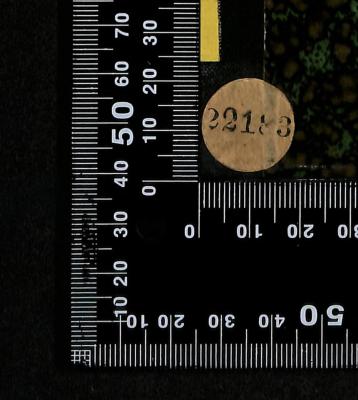 - (Jüdische Gemeinde zu Berlin), Etikett: Signatur; '22183'. 