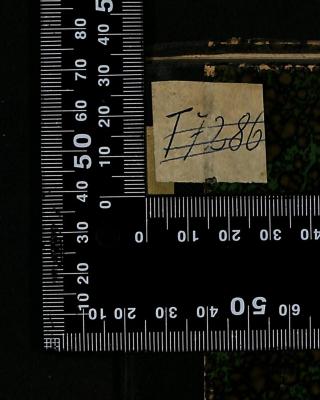 - (The National Library of Israel), Etikett: Signatur; 'T7286'. 