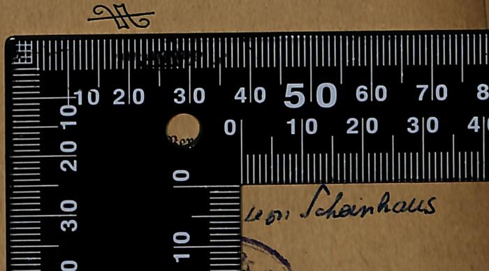 - (Scheinhaus, Leon), Von Hand: Name; 'Leon scheinhaus'. 