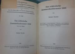 Kc 659 Text: Das schlesische Sommerhochwasser 1938 (1939)