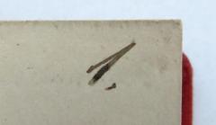 - (Ki[...]nn[?], M.), Von Hand: Nummer; '1.'. 