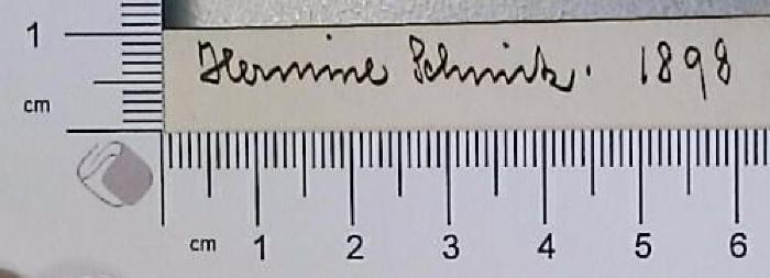 - (Schmitz, Hermine ), Von Hand: Autogramm; 'Hermine Schmitz'.  (Prototyp)