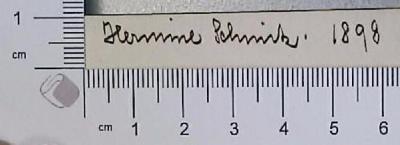 - (Schmitz, Hermine ), Von Hand: Autogramm; 'Hermine Schmitz'.  (Prototyp)