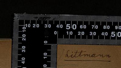- (Ellen Littmann), Von Hand: Name; 'Ellen Littmann

'. 
