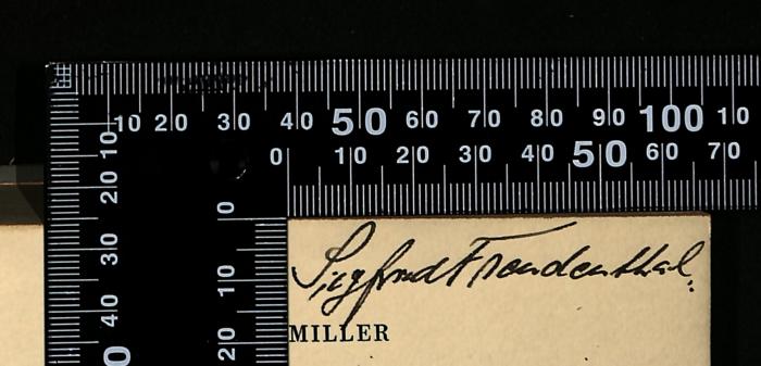 -, Von Hand: Name; 'Siegfried Freudenthal'