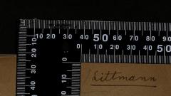 - (Ellen Littmann), Von Hand: Name; 'Ellen Littmann

'. 
