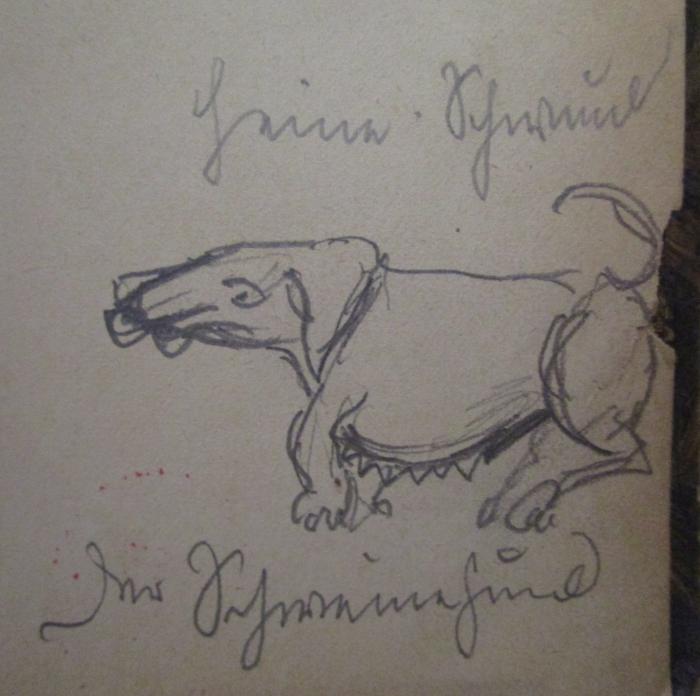  Schillers sämmtliche Werke in zwölf Bänden. Erster Band (1875);- (Schwund[?], Heine[?]), Von Hand: Name, Abbildung, Notiz; 'Heine Schwund
Der Schweinehund'. 