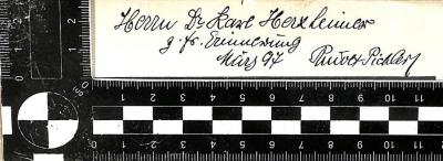 - (Karl Herxheimer), Von Hand: Widmung; 'Herrn Dr. Karl Herxheimer z. fr. Erinnerung März 97 Rudolf Pichler'. 